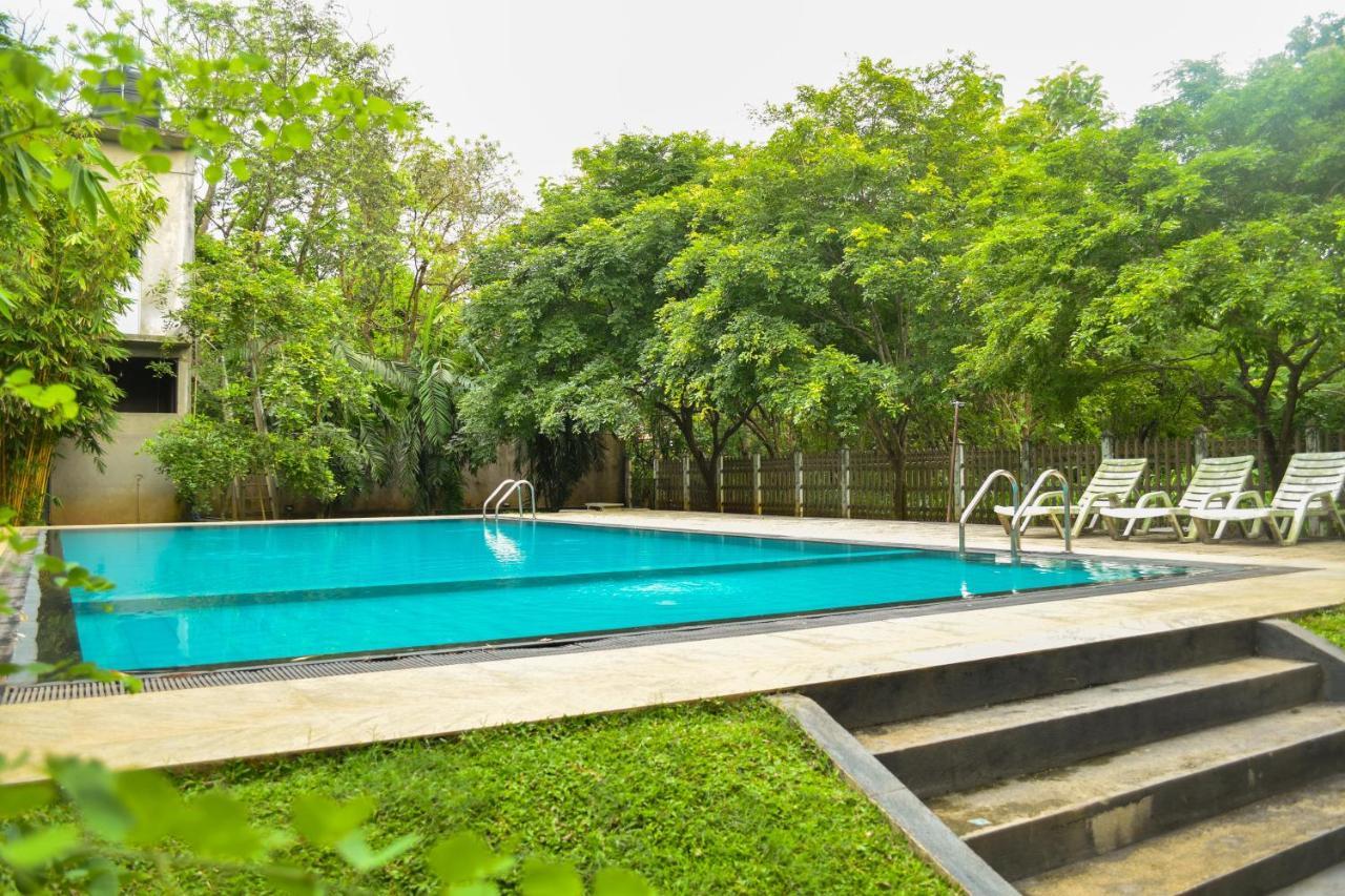 Pivisuma Lodge Dambulla Exteriér fotografie